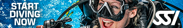 SSI - Scuba Schools International - my.divessi.com - Register Now