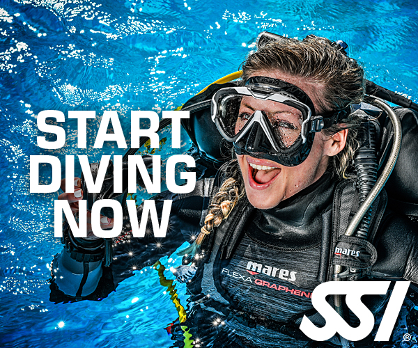 SSI - Scuba Schools International - my.divessi.com - Register Now