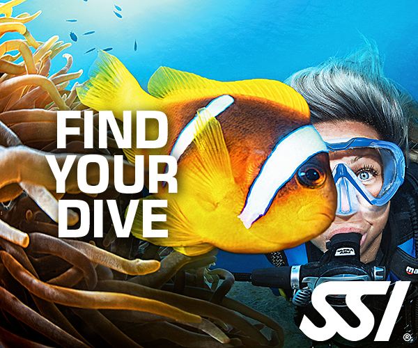 SSI - Scuba Schools International - my.divessi.com - Register Now