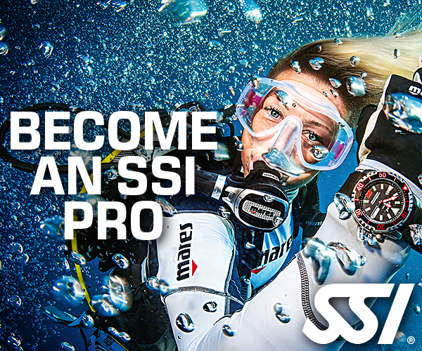 SSI - Scuba Schools International - my.divessi.com - Register Now