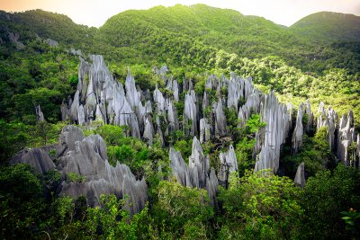 Borneo