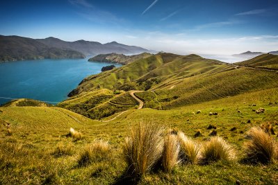 Marlborough Sounds