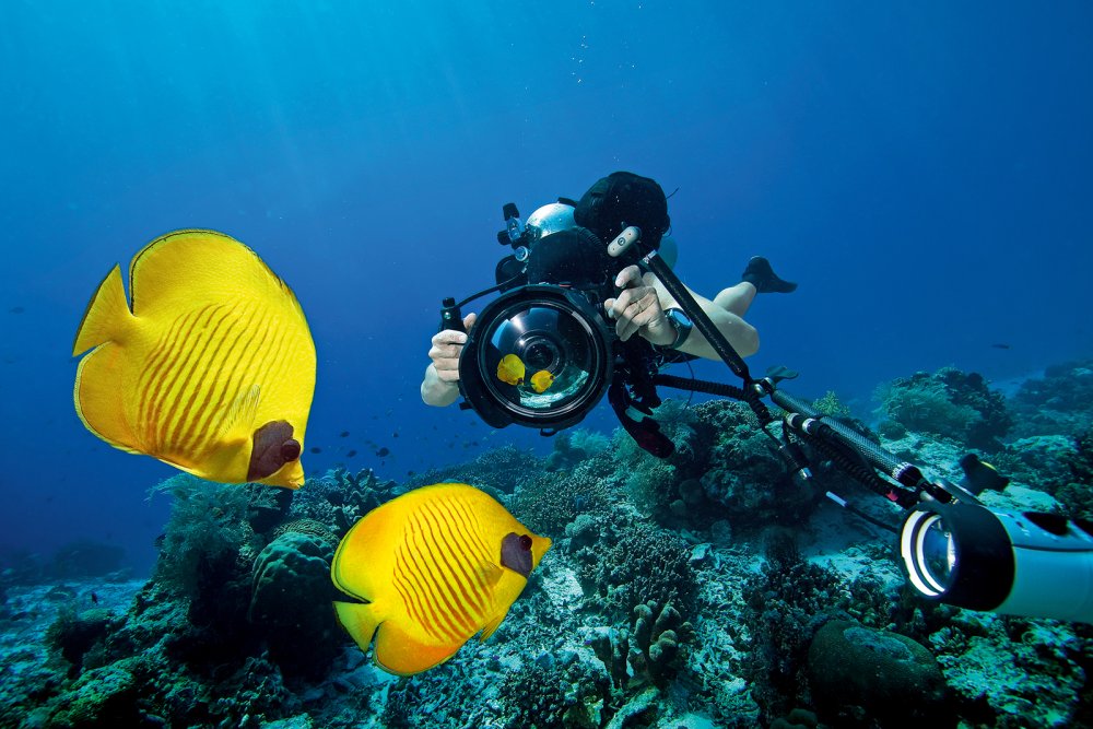 underwater photography (c) Adobe Stock/frantisek hojdysz