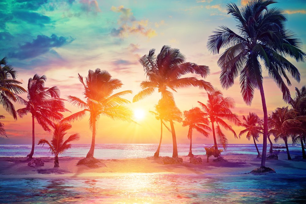 Palm trees in the sunset (c) iStock-RomoloTavani