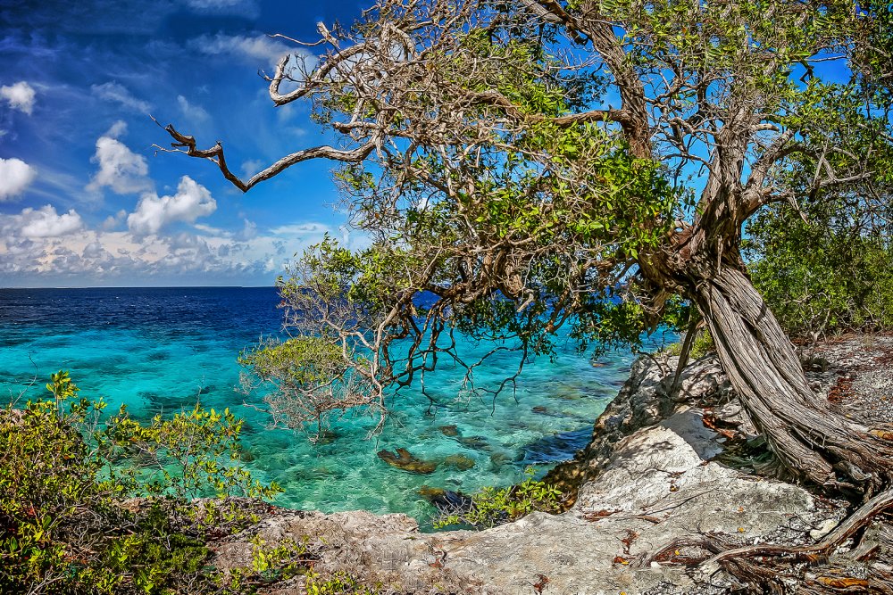 Bonaire (c) Shutterstock_John-A-Anderson