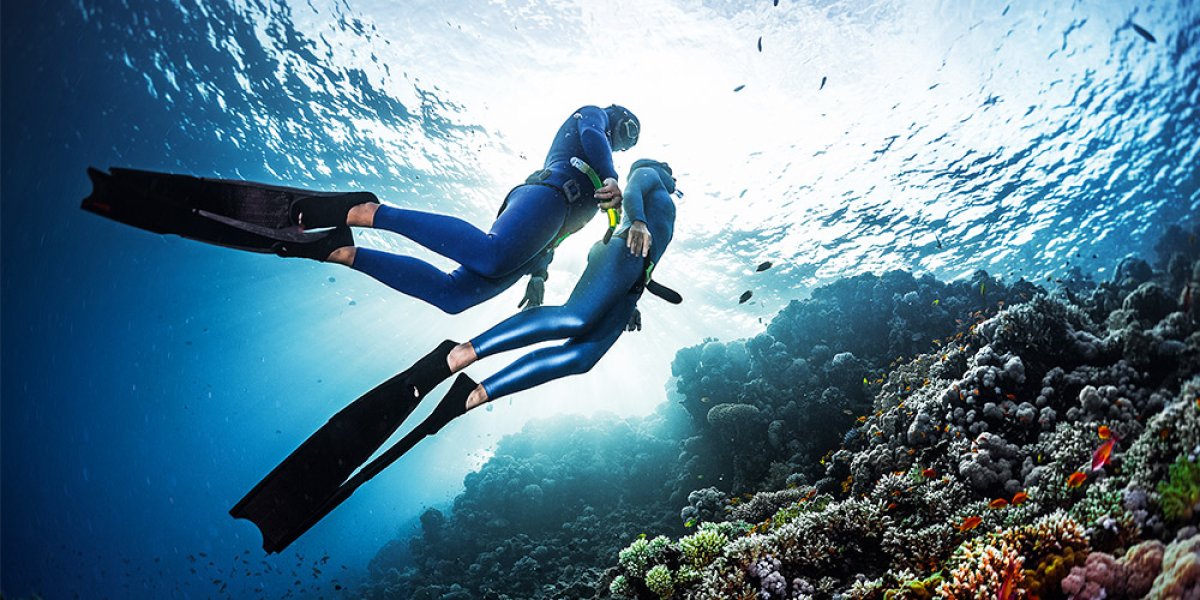 Seasonal Freediving: Essential Tips To Enjoy Diving All Year