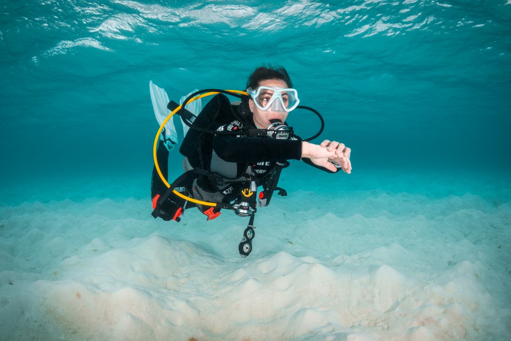 Diver underwater (c) Predrag Vuckovic