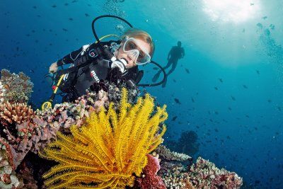 scuba diver underwater