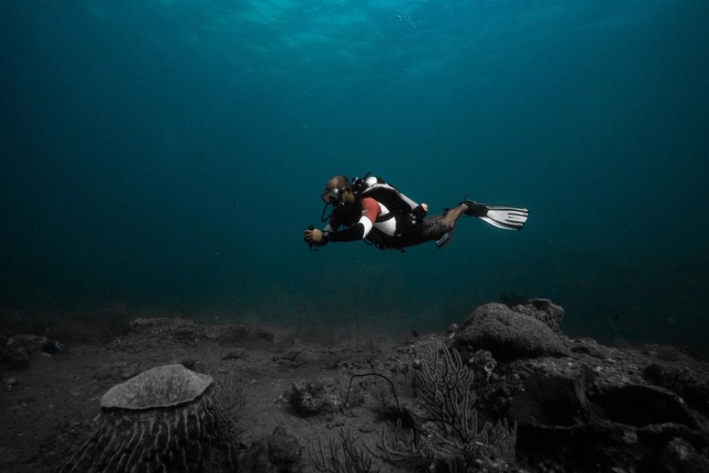 Diver underwater (c) Edges of Earth