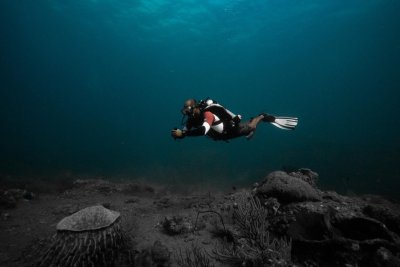 Diver underwater