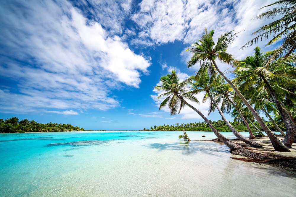 French Polynesia Liveaboard Diving (c) iStock/Mlenny