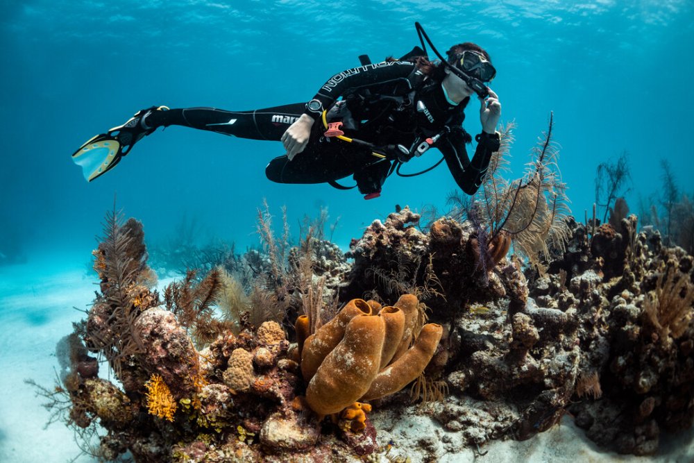 Female scuba diver (c) Predrag Vuckovic