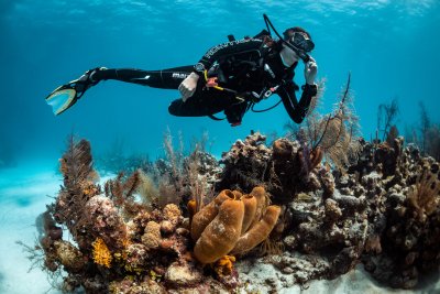 Female scuba diver