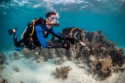 scuba divers underwater