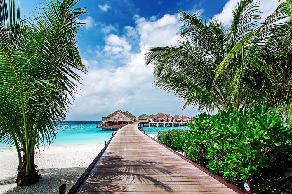 maldives (c) iStock-kurmyshov