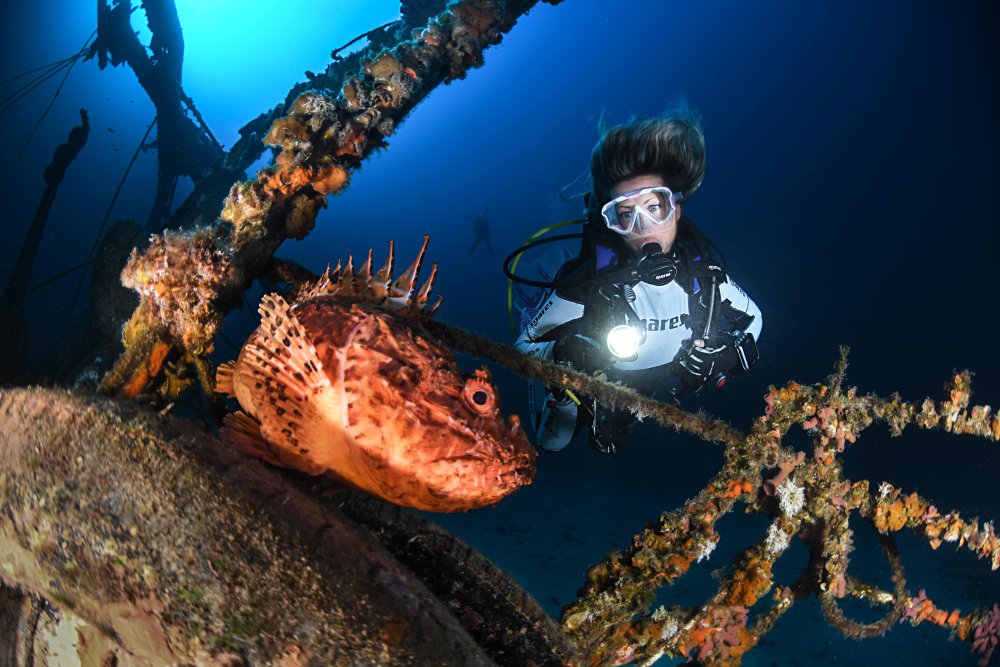 Female diver underwater (c) Janez-Kranjc