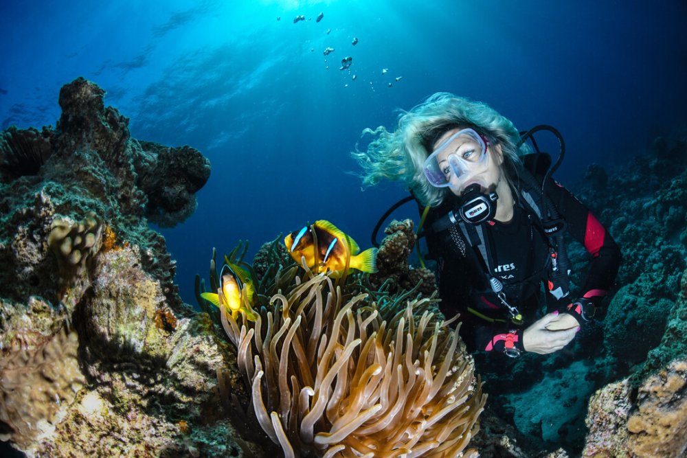 scuba diver (c) Janez Kranjc