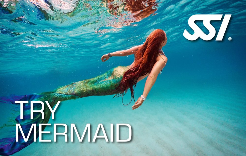 try mermaid c-card (c) SSI