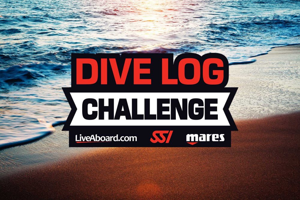 dive log challenge key visual (c) istock-borchee