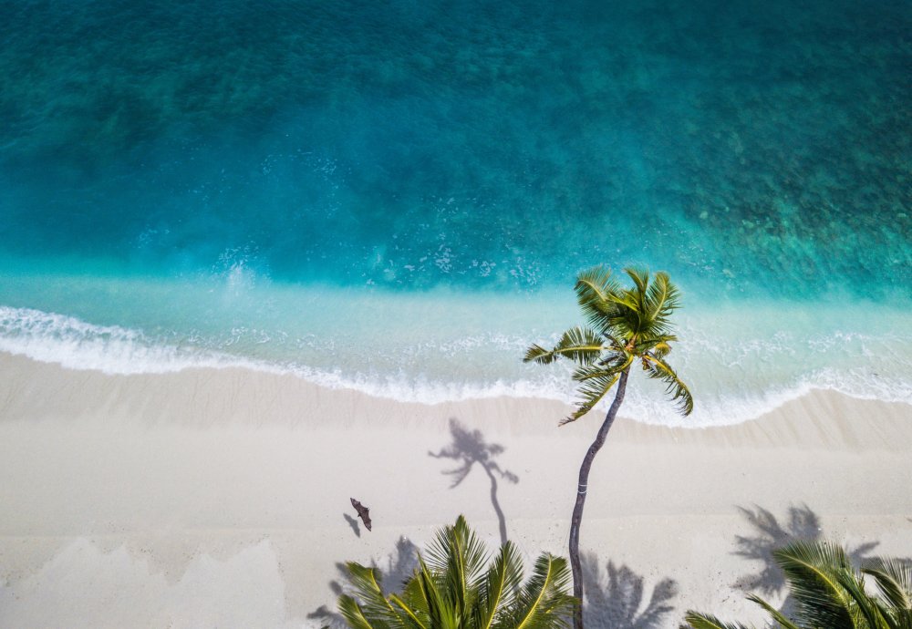 beach (c) unsplash