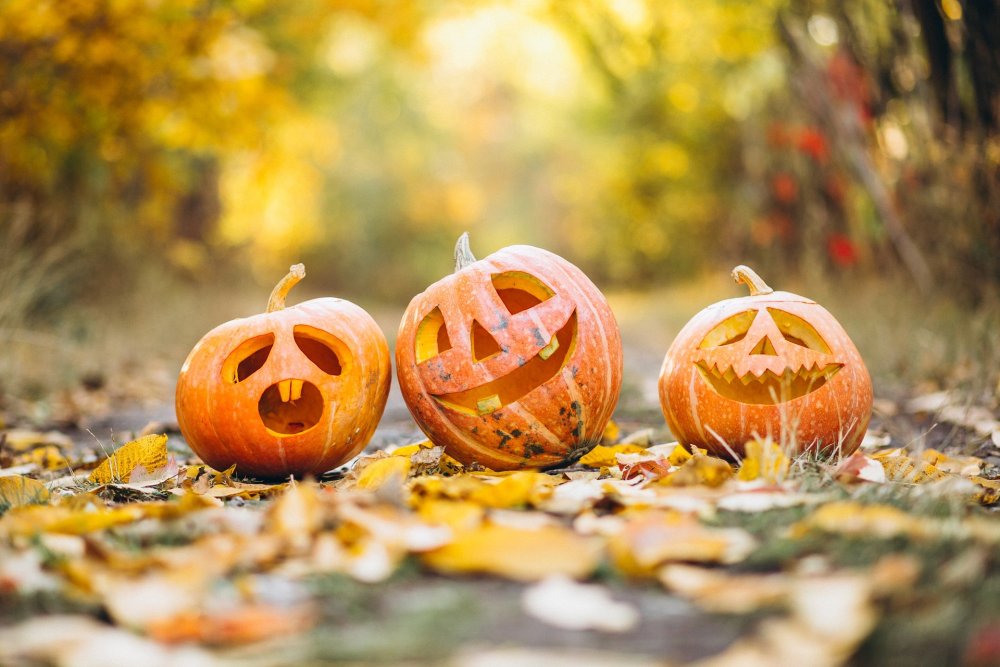 pumpkins (c) pixabay