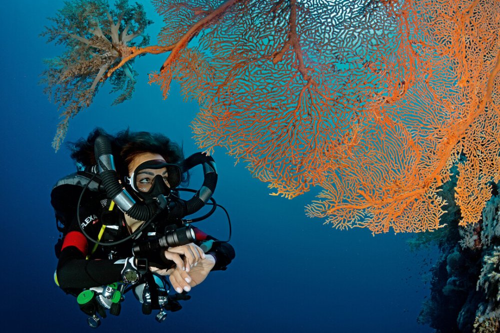 Female diver underwater (c) mares