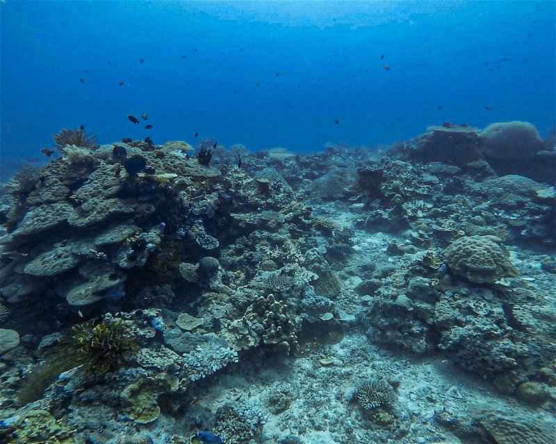 Divesite Image
