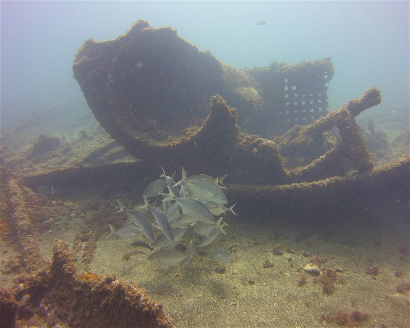 Divesite Image