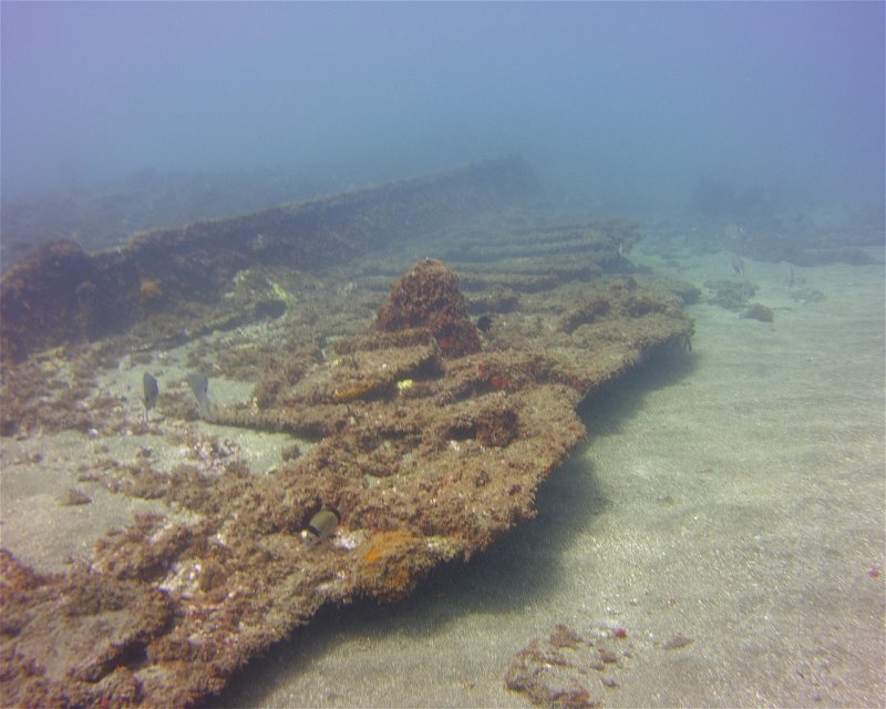 Divesite Image