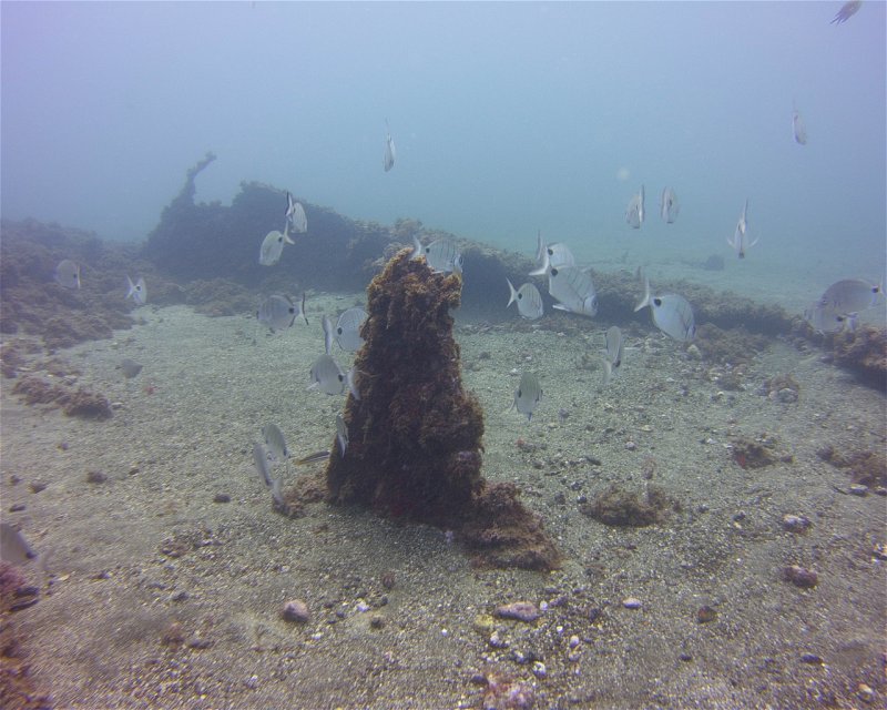 Divesite Image