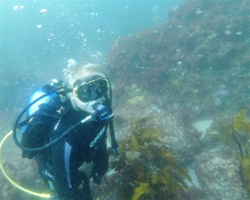 Divesite Image