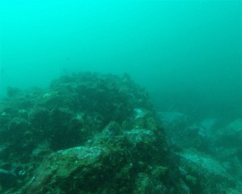 Divesite Image