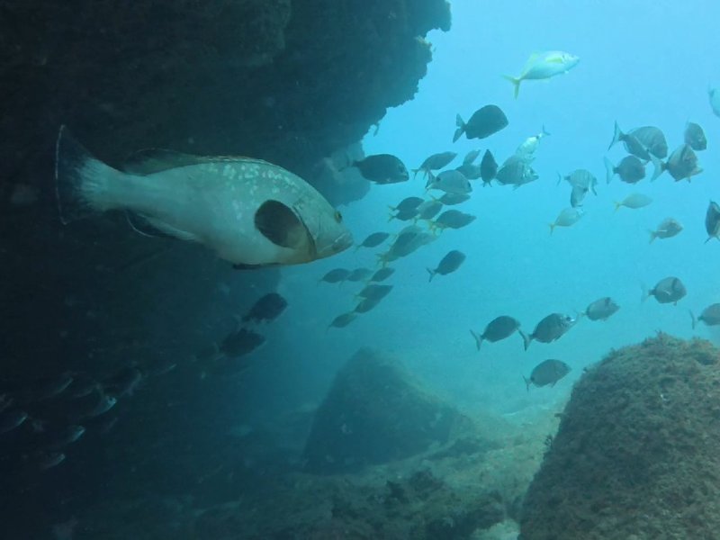 Divesite Image