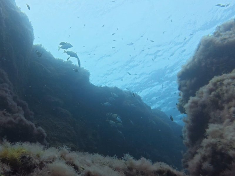Divesite Image
