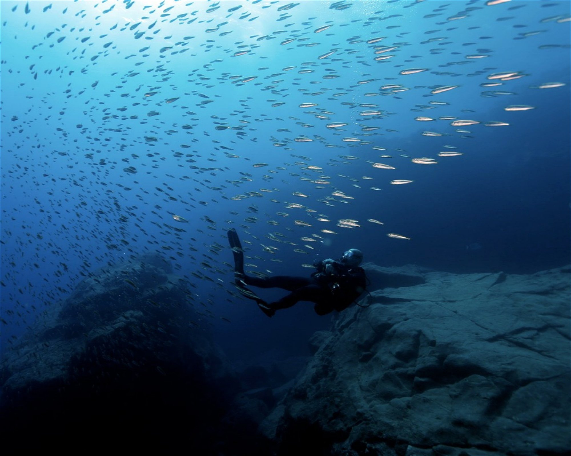 Deep Blue S.L., 35610 Fuerteventura, Caleta de Fuste