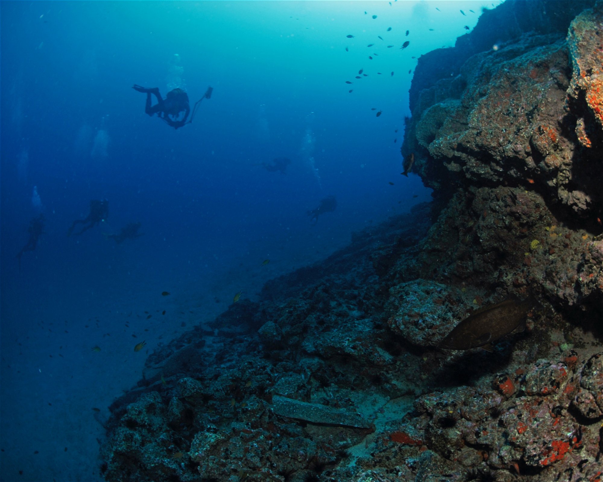Deep Blue S.L., 35610 Fuerteventura, Caleta de Fuste