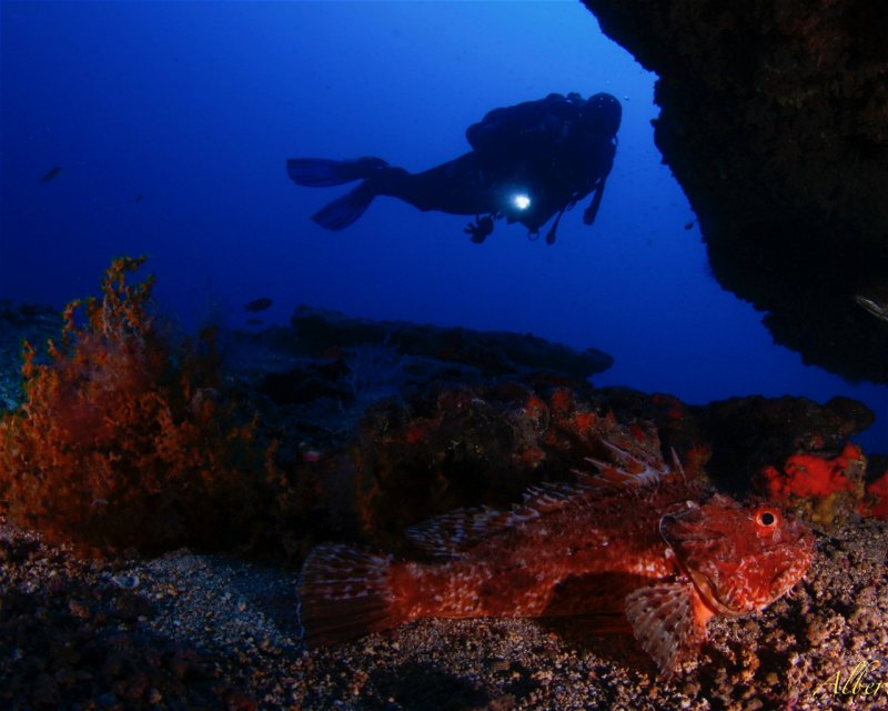 Divesite Image