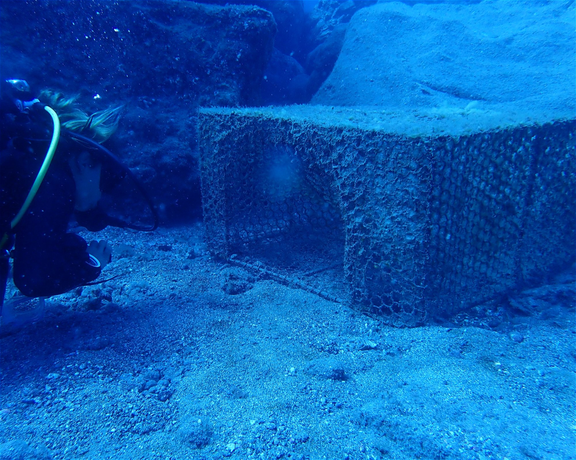 TENERIFE DIVE EXPERIENCE, 38660 SANTA CRUZ DE TENERIFE