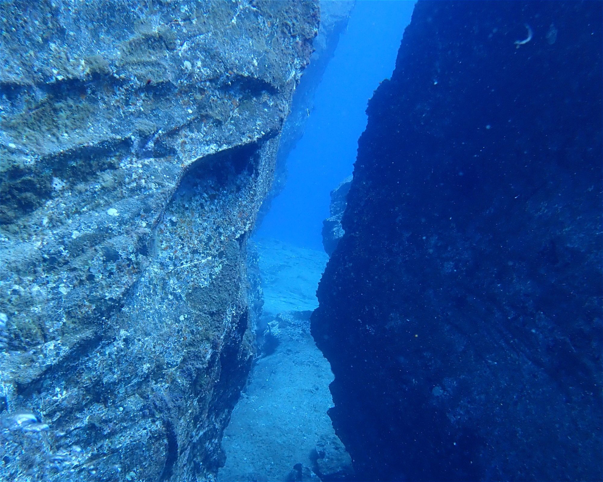 TENERIFE DIVE EXPERIENCE, 38660 SANTA CRUZ DE TENERIFE