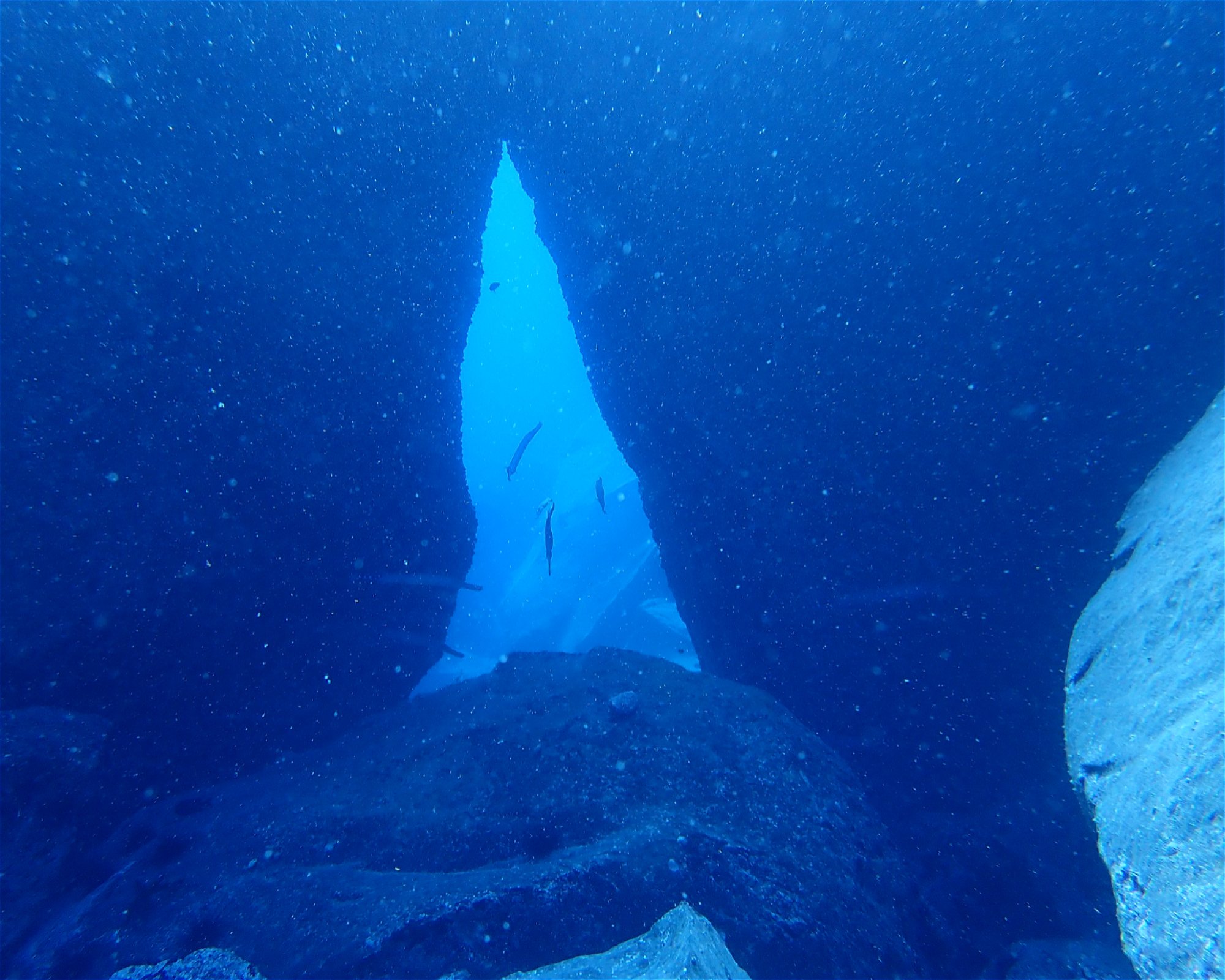 TENERIFE DIVE EXPERIENCE, 38660 SANTA CRUZ DE TENERIFE