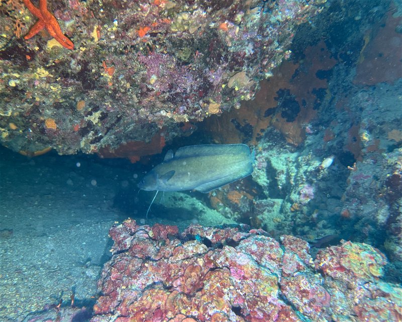 Divesite Image
