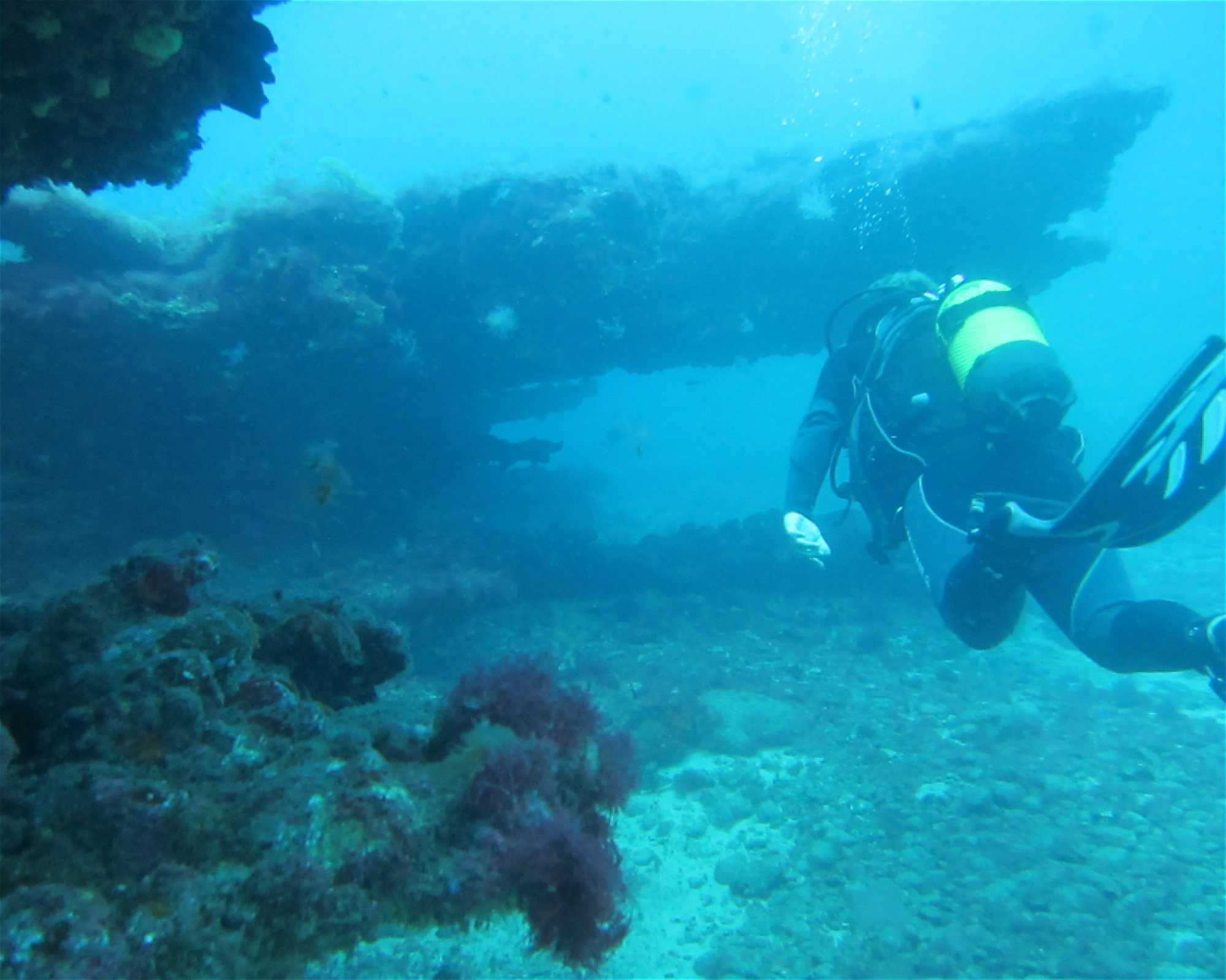 SCUBA SUR, 35120 Arguineguin