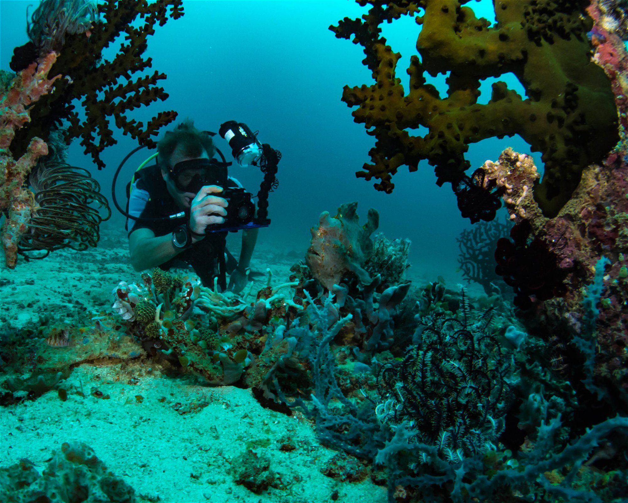 DiveGurus Diving Services Corp., 5608 Manoc Manoc