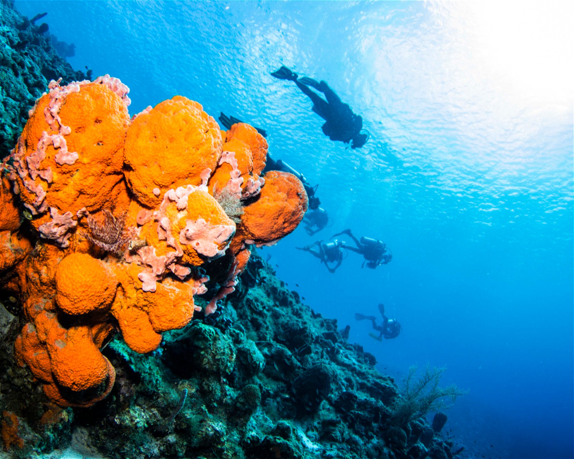 Scubaçao, Willemstad