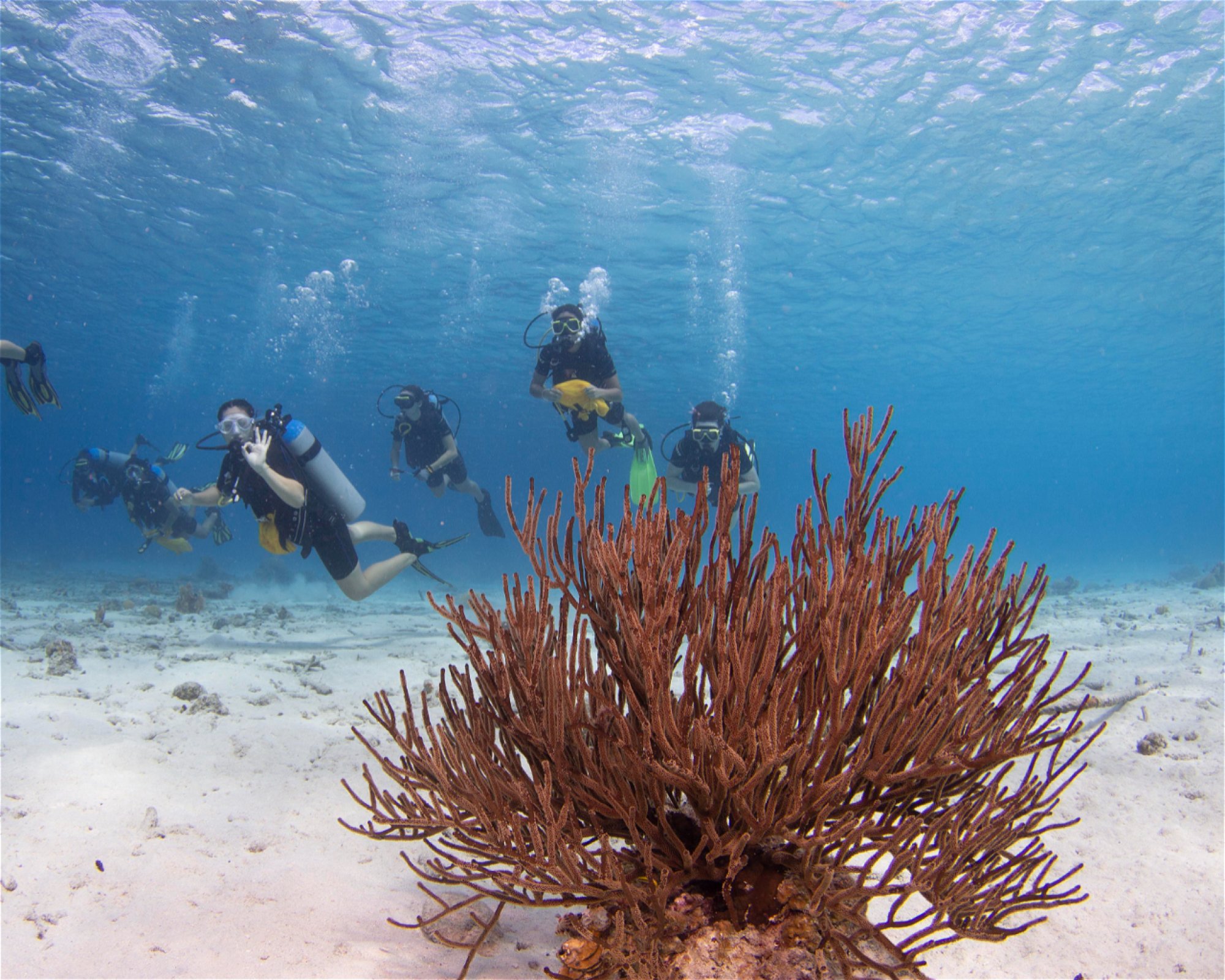 Scubaçao, Willemstad