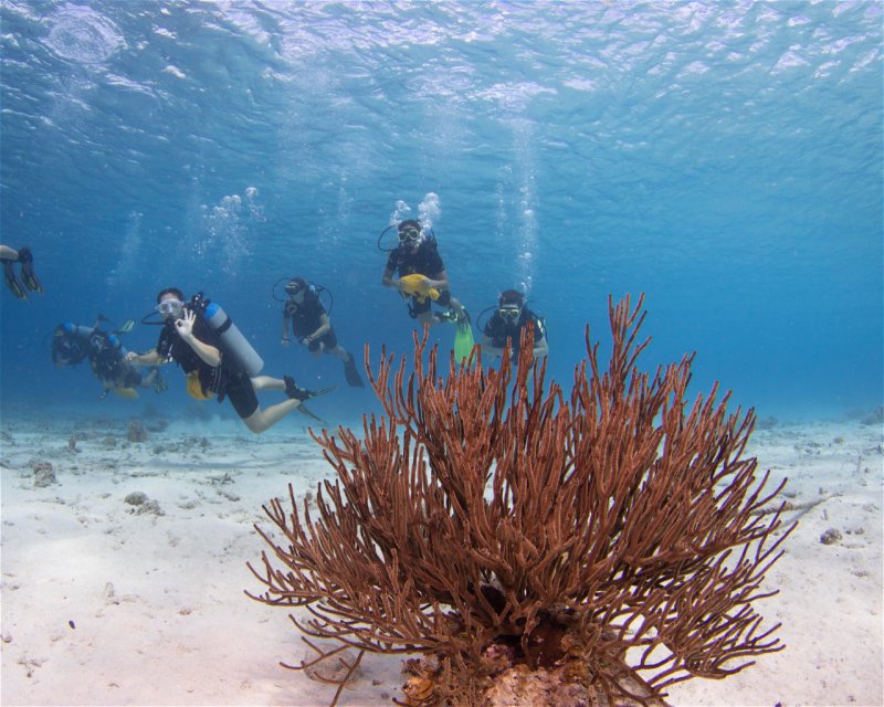 Divesite Image