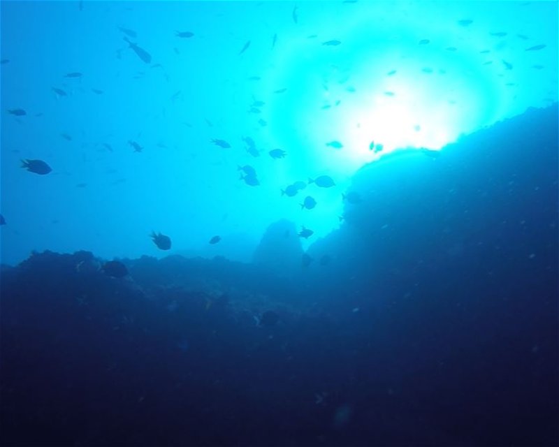 Divesite Image