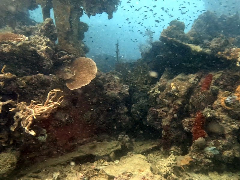 Divesite Image