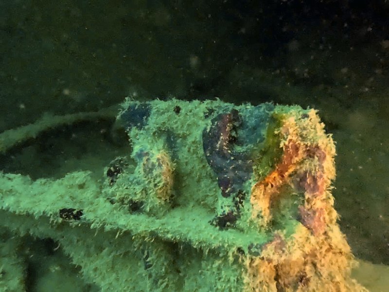 Divesite Image