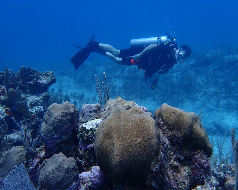 Divesite Image